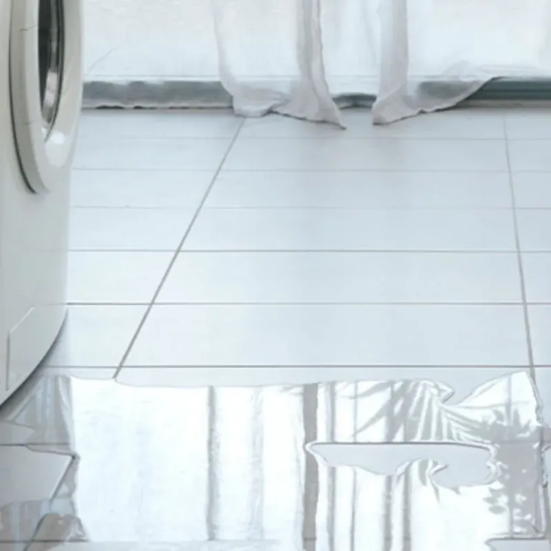 Appliance Leak Cleanup in Salina, OK
