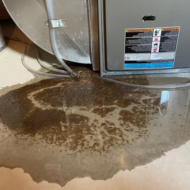 Pipe Burst and Leak Restoration in Salina, OK